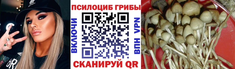 Галлюциногенные грибы Cubensis  Купить закладки  Дегтярск 